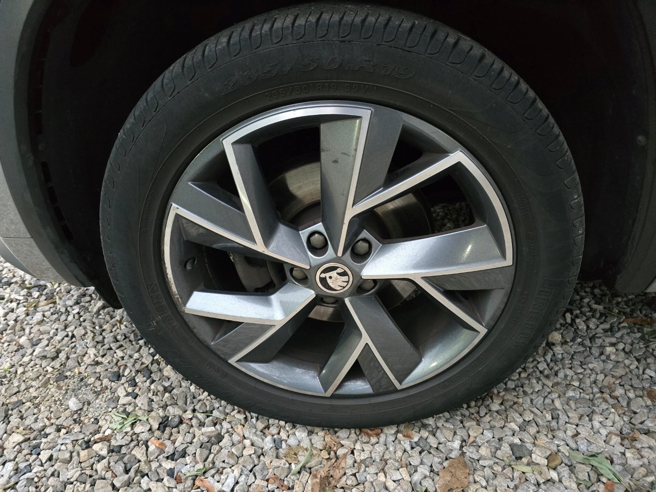 
								Škoda Kodiaq SUV 2020 full									