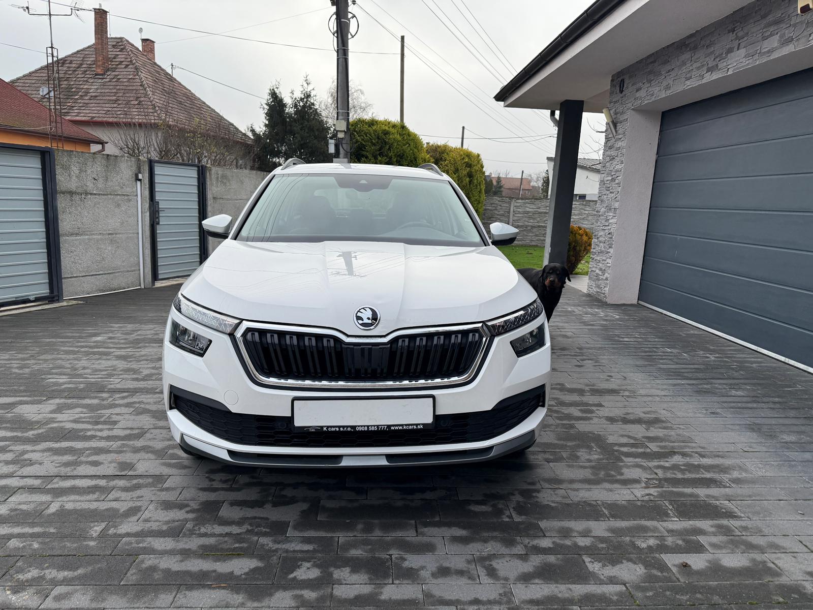 
								Škoda Kamiq 1.0 TSI Active full									